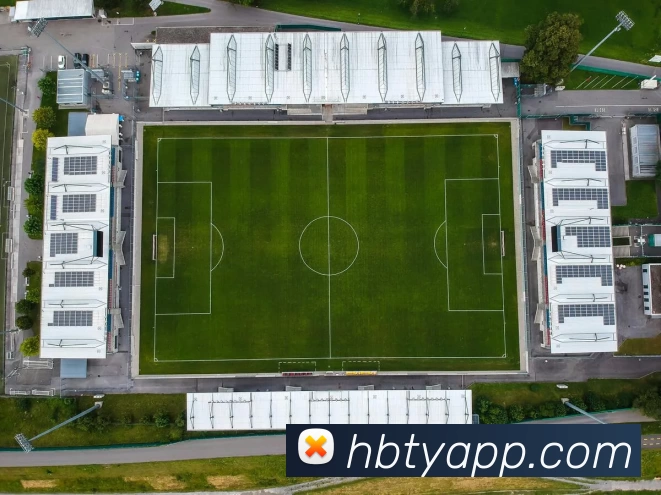 火博体育APP平台生态图