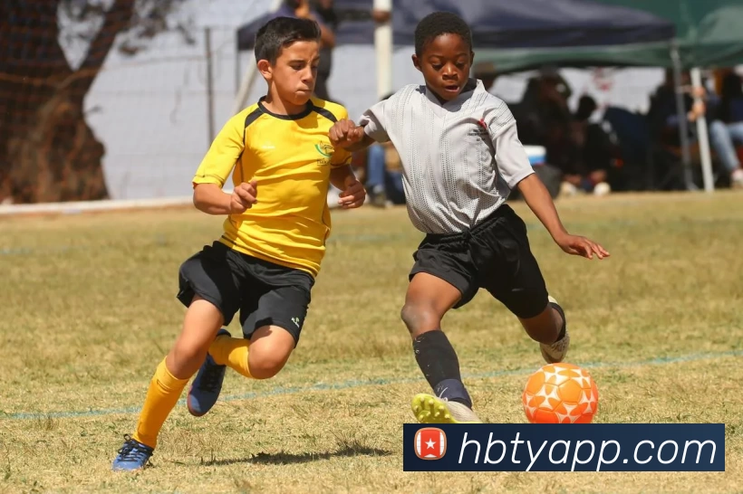 火博体育APP全站App